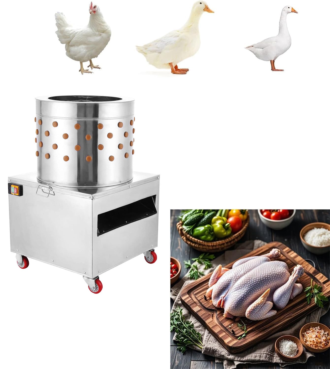 SDKEHUI Poultry Plucking Machine