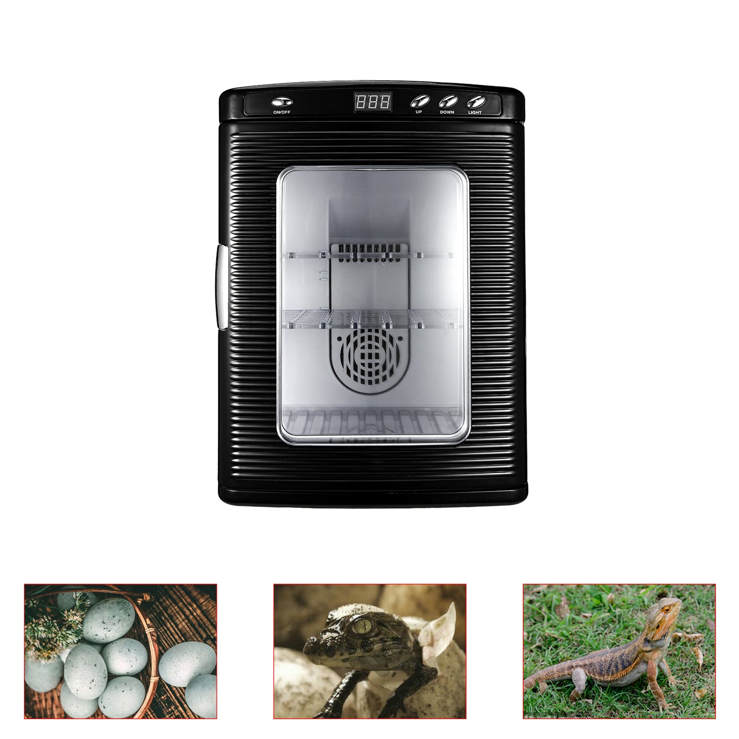 Incubators for Hatching Eggs, 25L Portable Reptile Scientific Lab Incubator with 5°C-60°C, Heating and Cooling for Small Reptiles